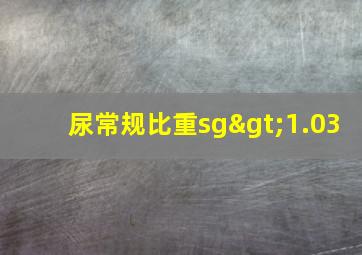 尿常规比重sg>1.03